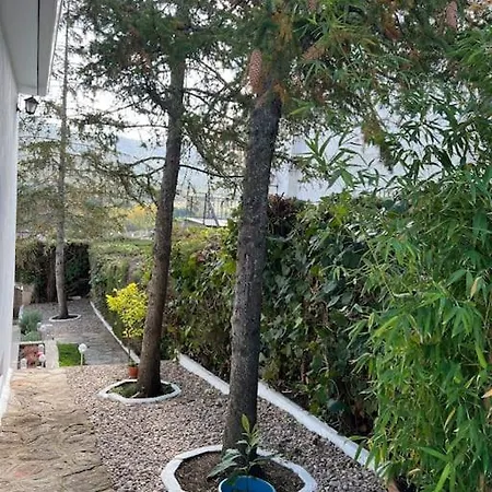 Villa Amaris A Hora De Madrid *