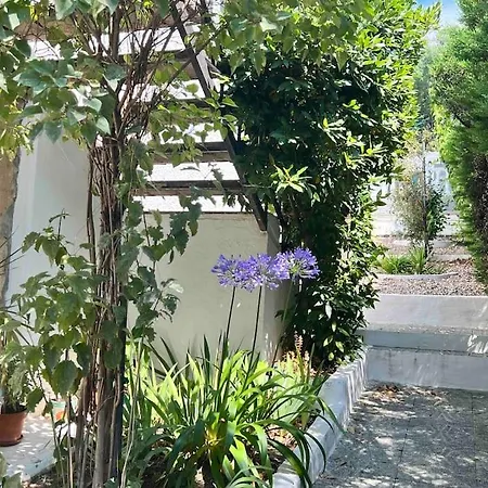 Villa Amaris